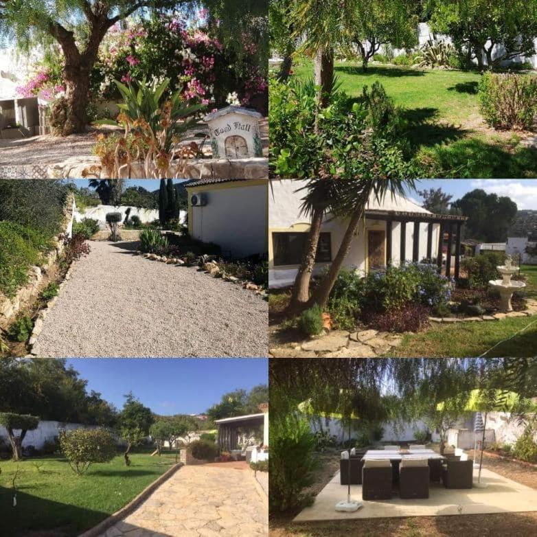 Casa Mimosa Bed & Breakfast Sao Bras de Alportel Exterior photo